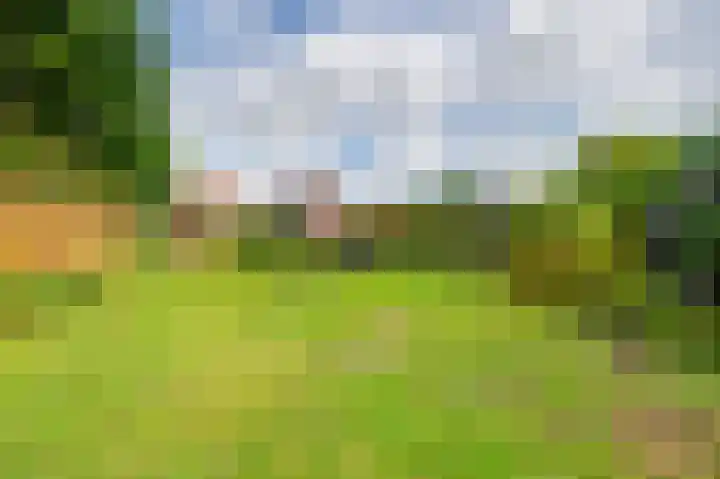 Julianastraat 28 Ooltgensplaat thumbnail 21