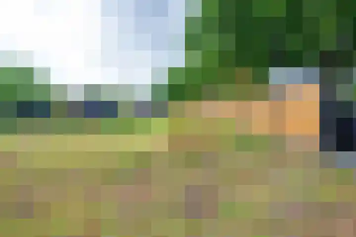 Julianastraat 28 Ooltgensplaat thumbnail 23