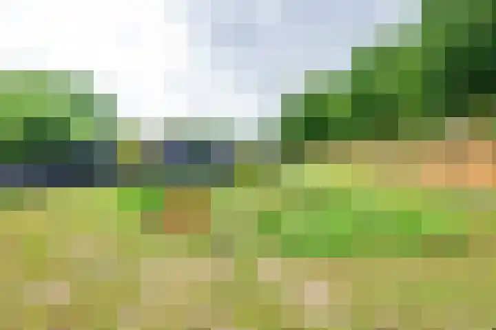 Julianastraat 28 Ooltgensplaat thumbnail 24