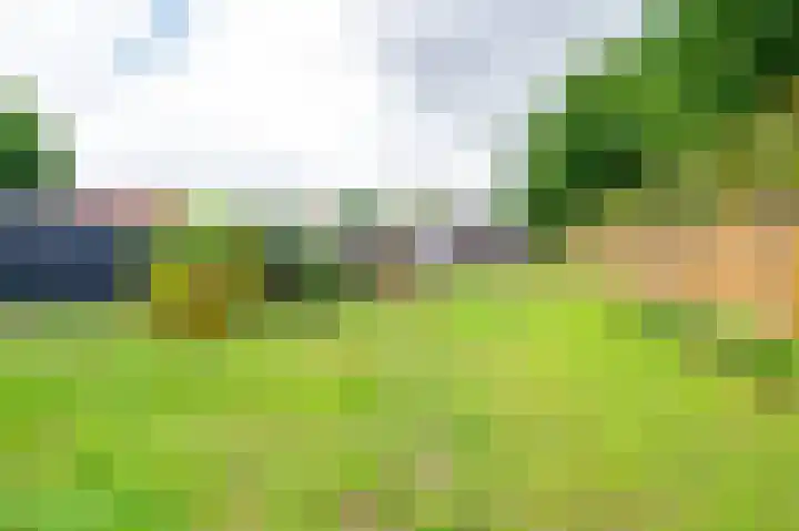 Julianastraat 28 Ooltgensplaat thumbnail 25