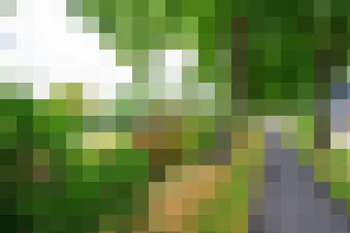 Julianastraat 28 Ooltgensplaat thumbnail 27