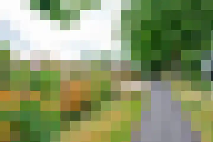 Julianastraat 28 Ooltgensplaat thumbnail 28