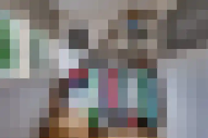 Julianastraat 28 Ooltgensplaat thumbnail 34