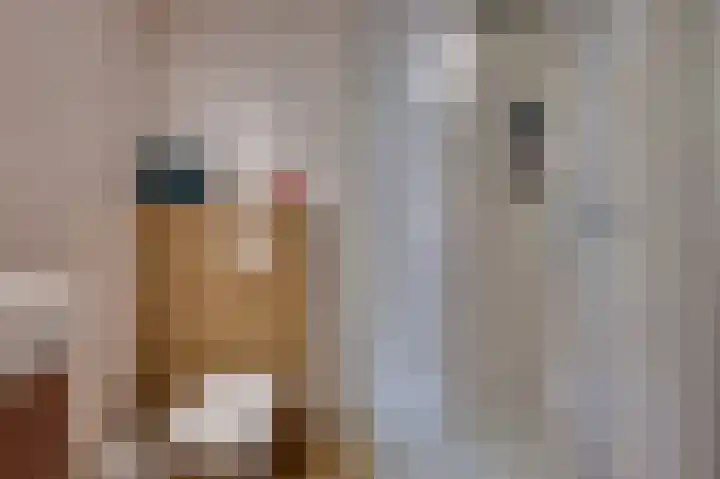 Julianastraat 28 Ooltgensplaat thumbnail 40