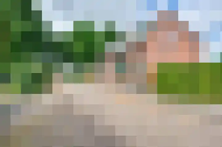 Julianastraat 28 Ooltgensplaat thumbnail 5