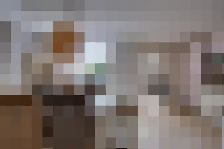 Julianastraat 28 Ooltgensplaat thumbnail 9