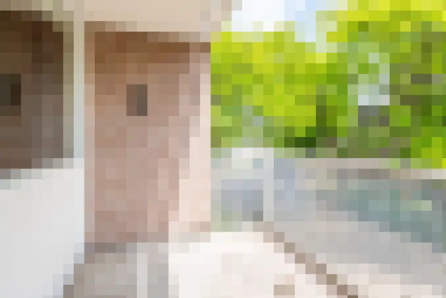 Julianastraat 29 Dinxperlo thumbnail 15