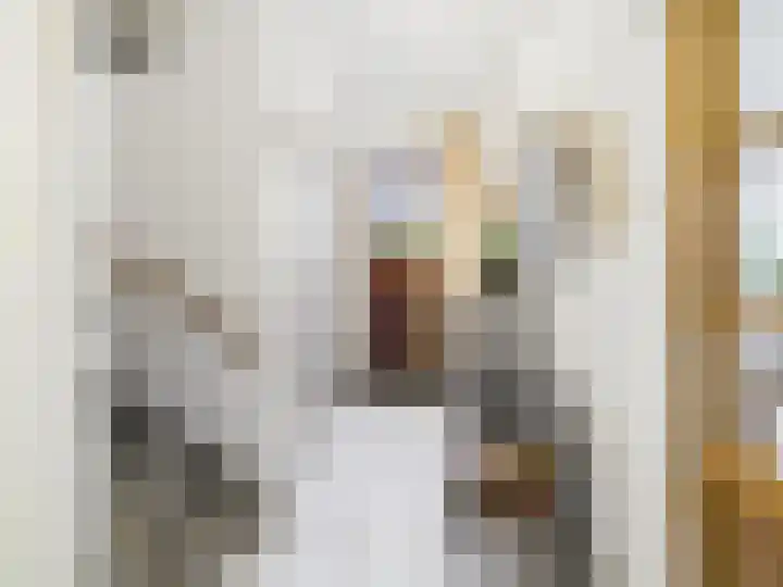 Julianastraat 29 Hoek thumbnail 12