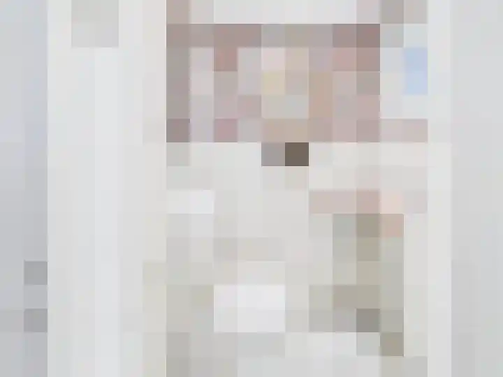 Julianastraat 29 Hoek thumbnail 13
