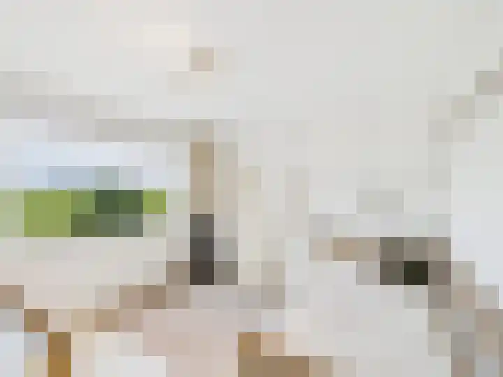 Julianastraat 29 Hoek thumbnail 16