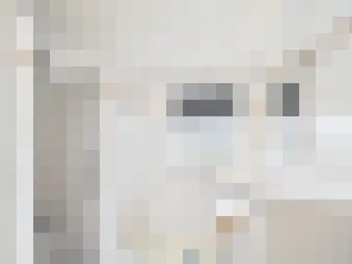 Julianastraat 29 Hoek thumbnail 18