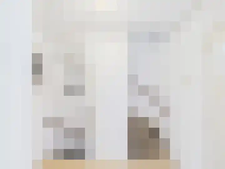 Julianastraat 29 Hoek thumbnail 22