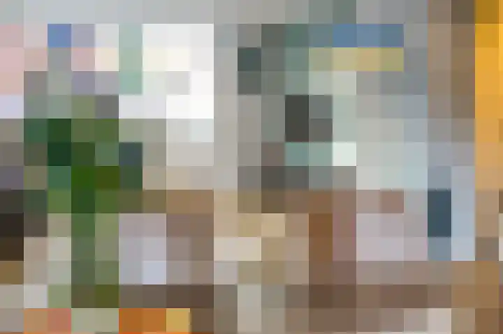 Julianastraat 29 Hoogkarspel thumbnail 19