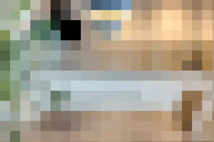 Julianastraat 29 Hoogkarspel thumbnail 20