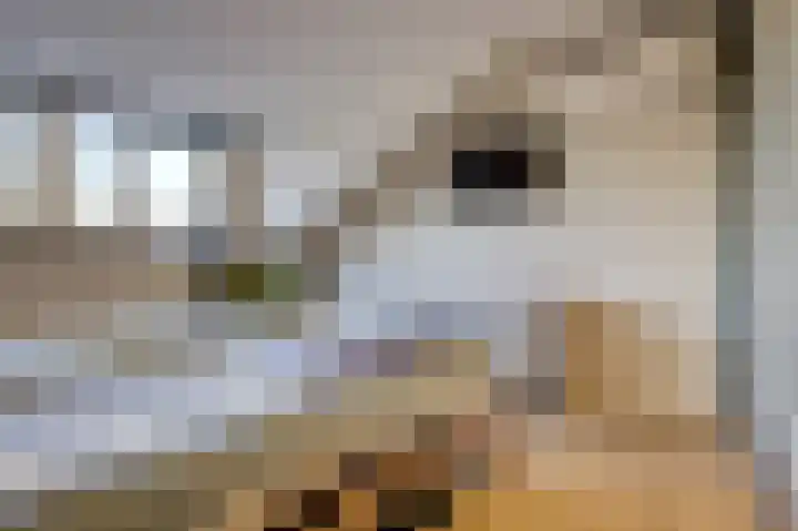 Julianastraat 29 Hoogkarspel thumbnail 34