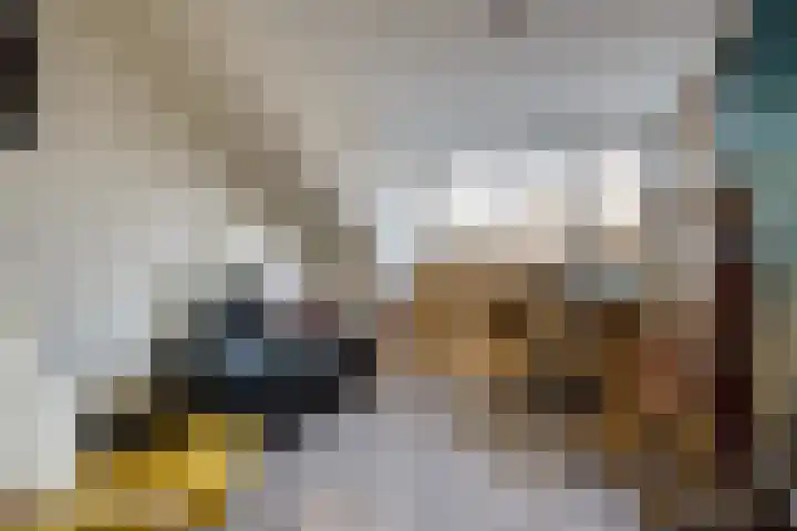 Julianastraat 29 Hoogkarspel thumbnail 41