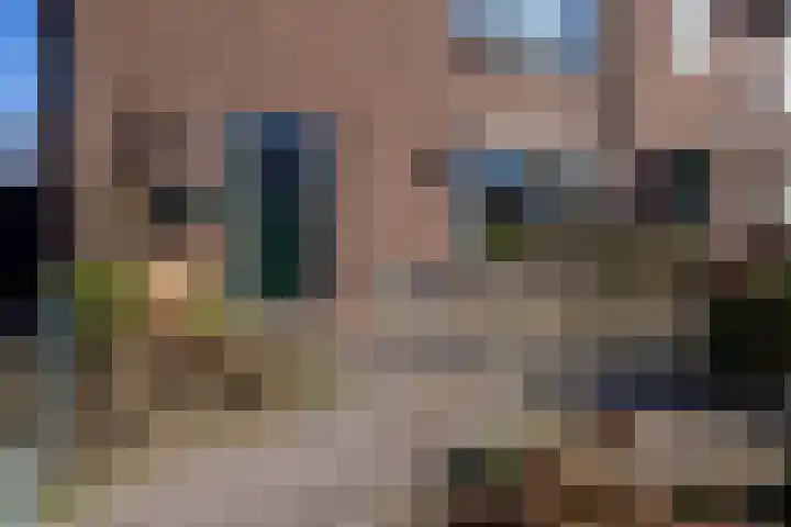 Julianastraat 29 Wehl thumbnail 18