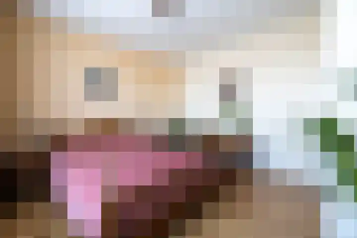 Julianastraat 29 Wehl thumbnail 22