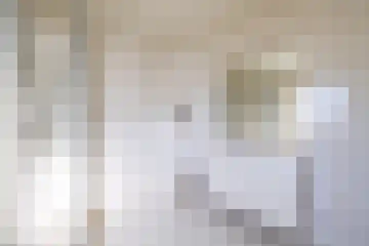 Julianastraat 29 Wehl thumbnail 31