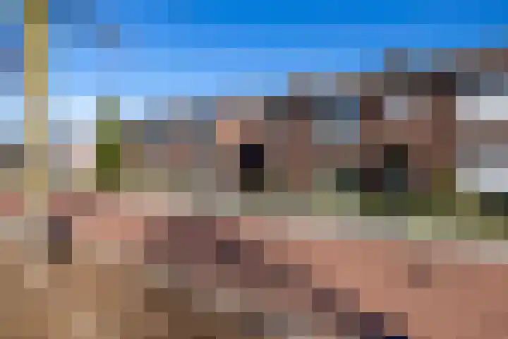 Julianastraat 29 Wehl thumbnail 33