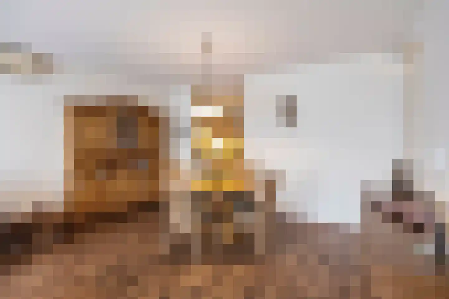 Julianastraat 3 A Echt thumbnail 11