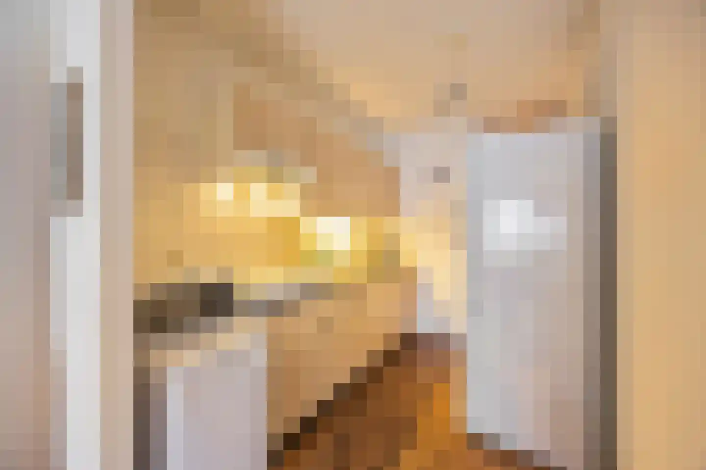 Julianastraat 3 A Echt thumbnail 13