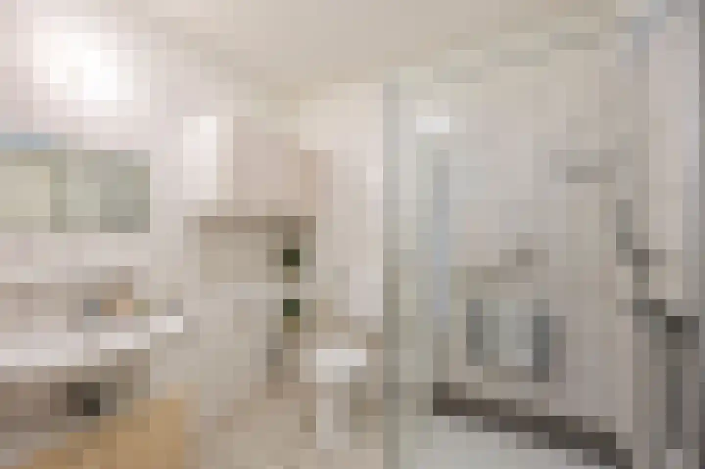 Julianastraat 3 A Echt thumbnail 19