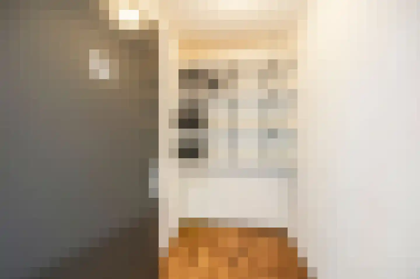 Julianastraat 3 A Echt thumbnail 21