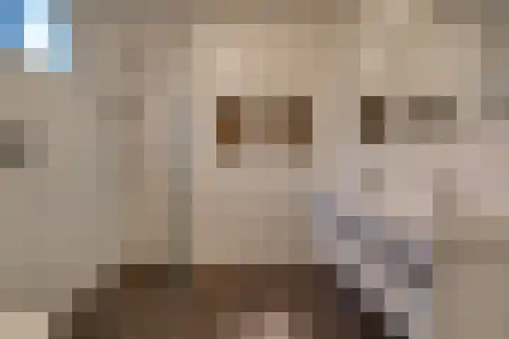 Julianastraat 3 Borger thumbnail 11