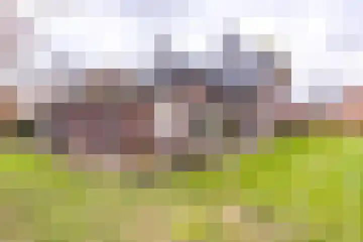 Julianastraat 3 Borger thumbnail 26
