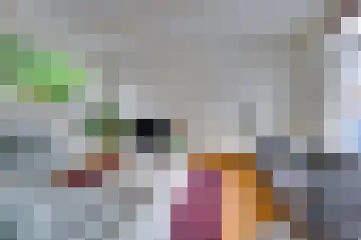 Julianastraat 3 Den Bommel thumbnail 10