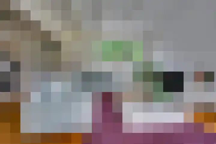 Julianastraat 3 Den Bommel thumbnail 11