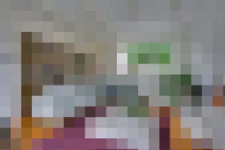 Julianastraat 3 Den Bommel thumbnail 12