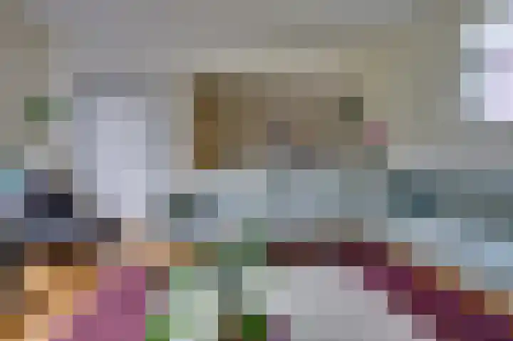 Julianastraat 3 Den Bommel thumbnail 13