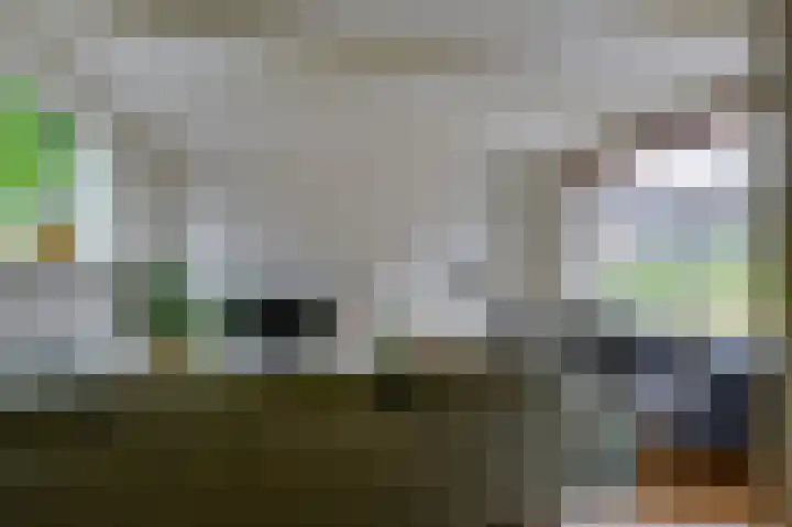 Julianastraat 3 Den Bommel thumbnail 15