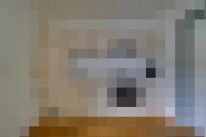 Julianastraat 3 Den Bommel thumbnail 16