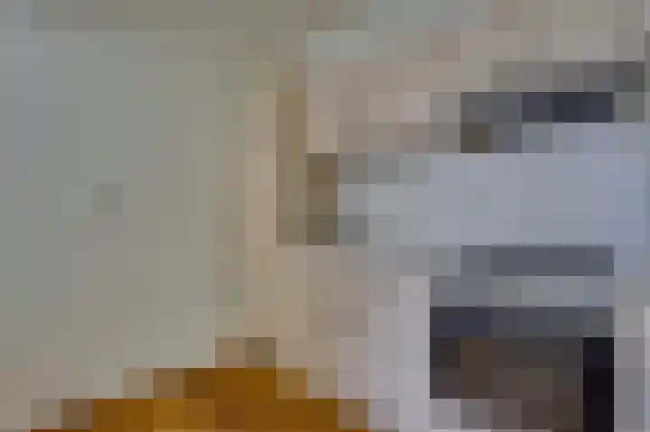Julianastraat 3 Den Bommel thumbnail 17