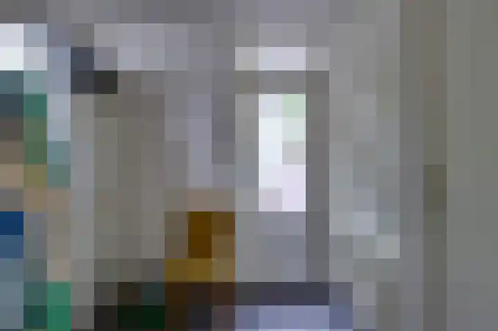 Julianastraat 3 Den Bommel thumbnail 20