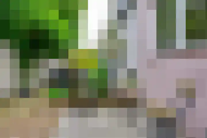 Julianastraat 3 Den Bommel thumbnail 21