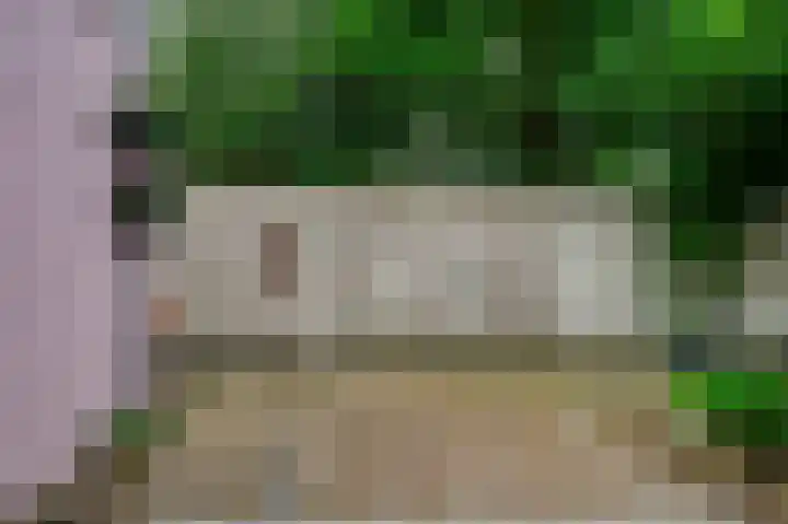 Julianastraat 3 Den Bommel thumbnail 22