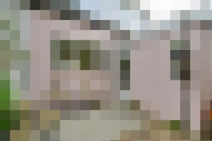 Julianastraat 3 Den Bommel thumbnail 23