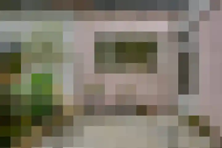 Julianastraat 3 Den Bommel thumbnail 24