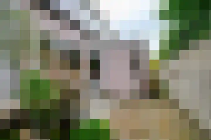 Julianastraat 3 Den Bommel thumbnail 25