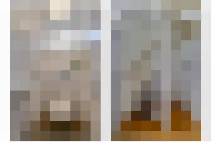 Julianastraat 3 Den Bommel thumbnail 26
