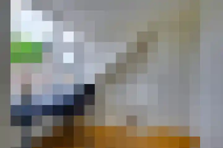 Julianastraat 3 Den Bommel thumbnail 28