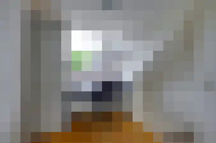 Julianastraat 3 Den Bommel thumbnail 29