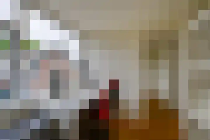 Julianastraat 3 Den Bommel thumbnail 31