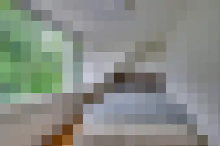 Julianastraat 3 Den Bommel thumbnail 32