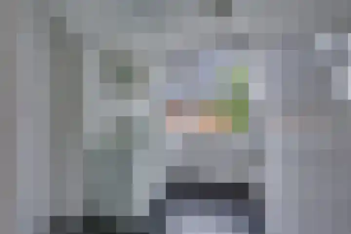 Julianastraat 3 Den Bommel thumbnail 34