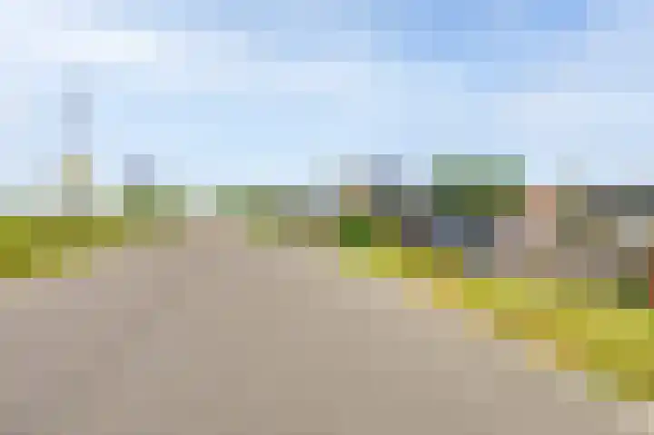 Julianastraat 3 Den Bommel thumbnail 36